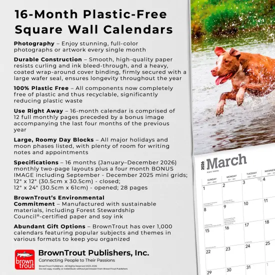 American Pit Bull Terriers | 2026 12 x 24 Inch (Hanging) Monthly Square Wall Calendar | Plastic-Free {6}