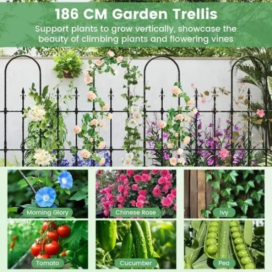 Outdoor Arch Trellis Climbing Plant Support 58"x73" {2}
