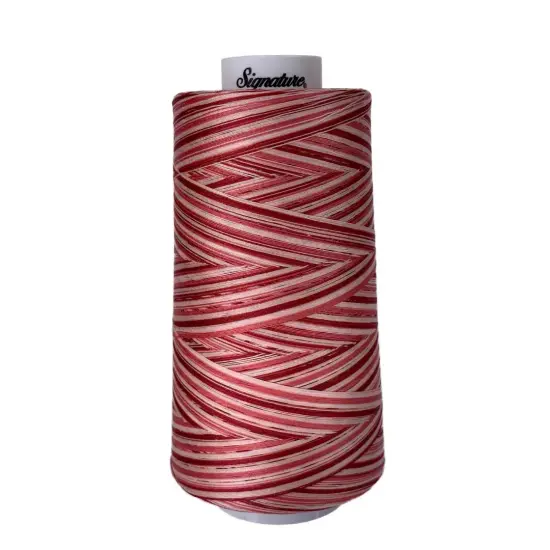 F252 Strawberry Shortcake Signature Cotton Variegated Thread {1}