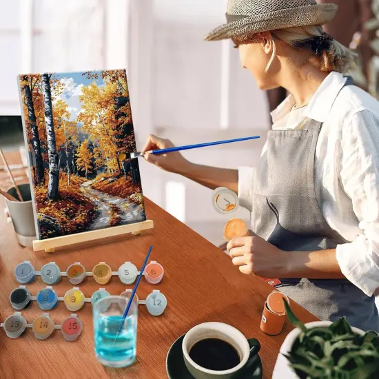 Framed Paint by Numbers Kit for Adults {2}