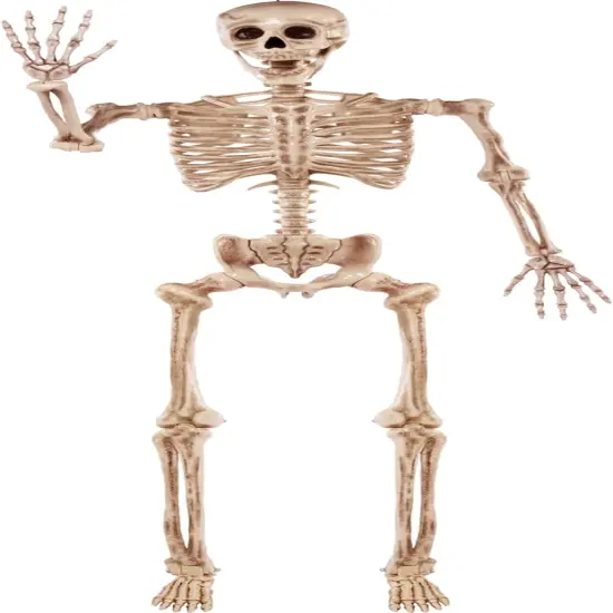 5.6 FT Halloween Posable Life Size Skeleton - Yellow {1}