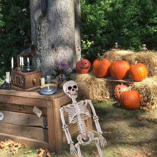 36" Halloween Posable Skeleton Decorations {4}