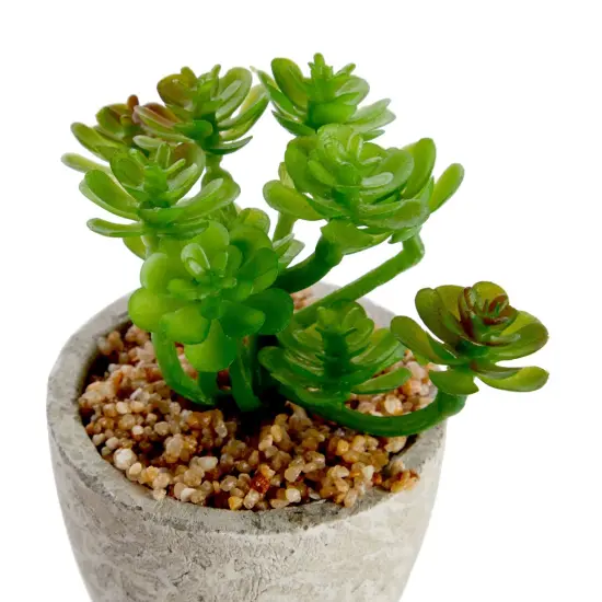 6 Pack Artificial Succulent Plants with Pots for Office Desk, Faux Indoor Mini Cactus Decor for Home, Bedroom (2.7 to 4 in) Green {5}