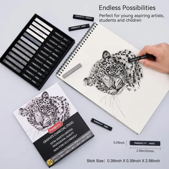 24 Pieces Black & White Vine Charcoal Sticks for Drawing, Sketching {3}