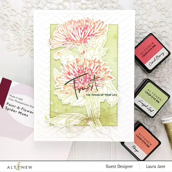 Paint-A-Flower: Spider Mums Outline Stamp Set {3}