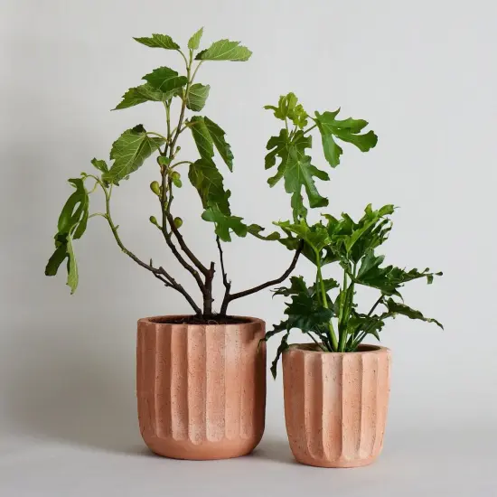 Fluted Planter | Size: Medium by Bloomist {1}