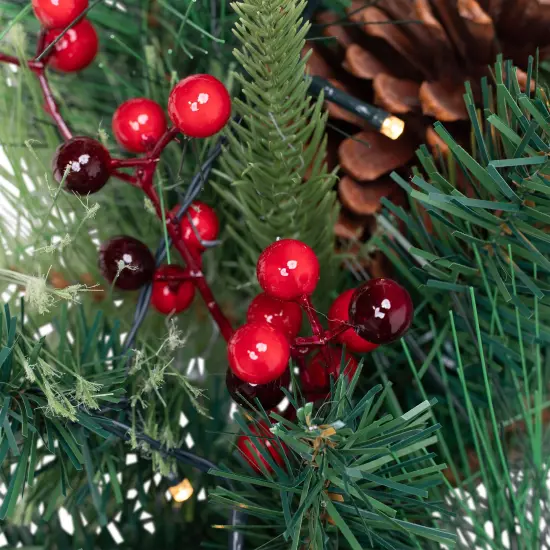 Northlight Pre-Lit Battery Operated Mixed Pine and Berries Christmas Wreath - 24" - Warm White LED Lights Green {6}