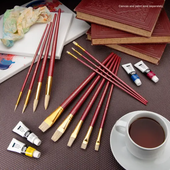 RSET-9319 | 12pc White Bristle Long Handle Variety Brush Set {4}