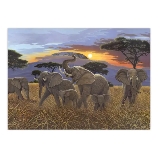 PJL21 | Painting by numbers&trade; 13pc 11.25" x 15.375" Sunset on Kilimanjaro Painting Project {2}