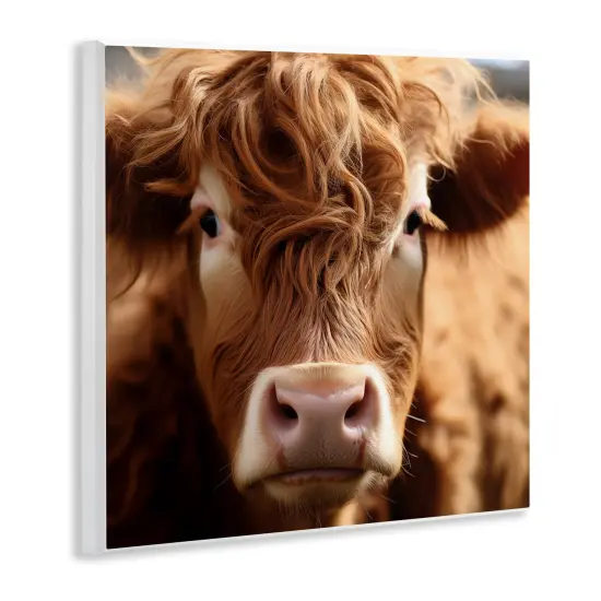 Stupell Industries Close Up Furry Cow Portrait Wall Plaque Design by Heidi Kuntz {2}