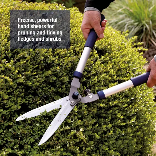Spear & Jackson Razorsharp Notched Hedge Shears, Professional Garden Tool for Precision Trimming and Shaping, Quality Carbon Steel Blades {6}