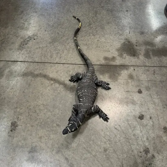 Lace Monitor Life Size Statue {5}