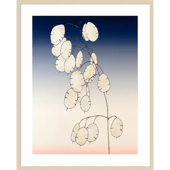 Money Plant II by Michael Willett Wood Framed Wall Art Print {1}