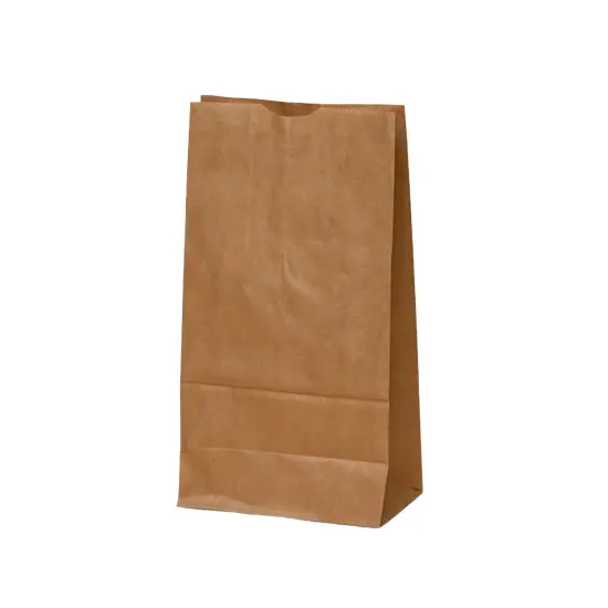 Kraft Retail Bags 6'' x 3 5/8'' x 11'' {5}
