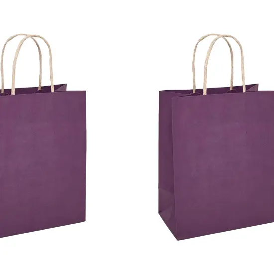 Durable Kraft Paper Tinted Bag 8" x 5" x 10.25" {5}