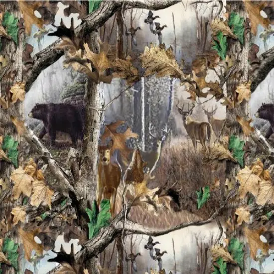 Advantage Wildlife, Bear, Dear, Ducks Edible Icing Image Cake Topper (1/4 Sheet) {1}