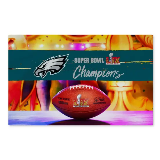 NFL Philadelphia Eagles 2025 Super Bowl LIX Parade Washable Rug 20X32 Inches {1}