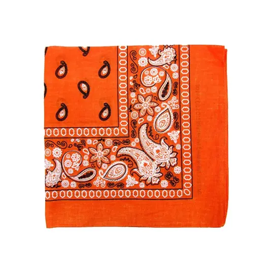 Pack of 10 Daily Basic 100% Polyester 22 x 22 Paisley Printed Bandanas {2}