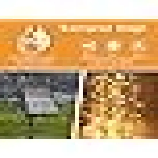 olar Fairy Lights for Outside Waterproof {3}