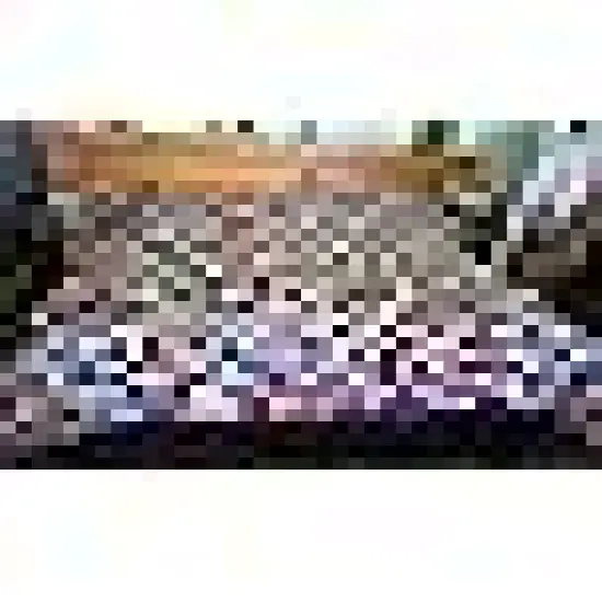 Cotton Quilting Fabric Squares Fat Quarter Bundles Fabric for DIY Craft Patchwork {6}