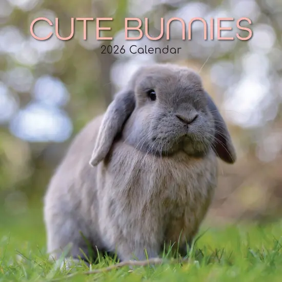 The Gifted Stationary 2026 Square Wall Calendar, Cute Bunnies, 16-Month Animals Theme Hanging Calendar with 180 Reminder Stickers, Month Planner for Home, or Creative Spaces, 12x12 In Multicolor {1}