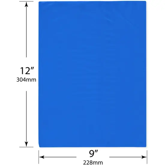 Plymor 9" x 12", Blue 2 Mil Flat Open Plastic Poly Bags {3}