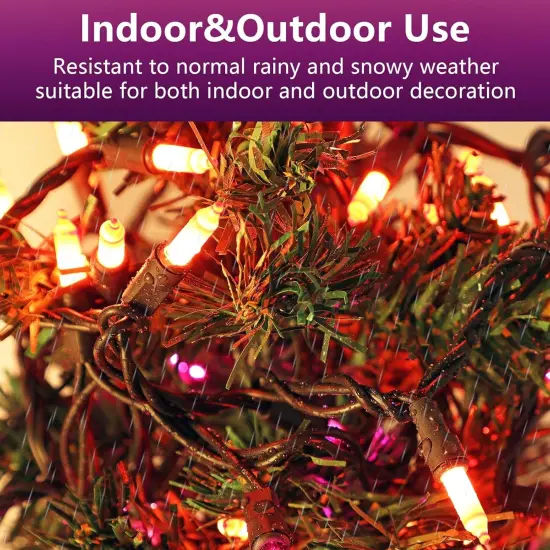 21FT Halloween Purple and Orange String Lights {5}