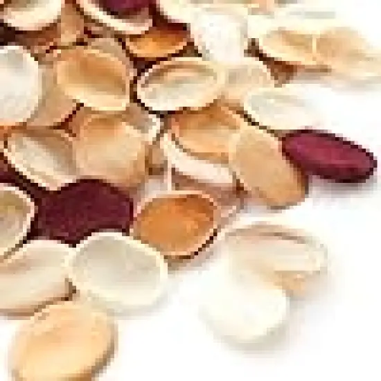 Faux Silk Flower Petals Burnt Orange {1}