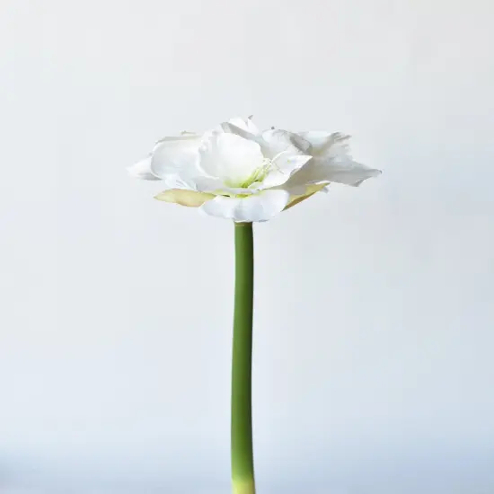 29" Faux White Amaryllis Stem {2}