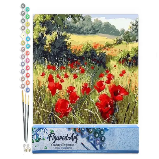 Figured'Art Paint by Numbers Kit for Adults Field of Poppies in the countryside 16"x20" - Craft Art Painting DIY Kit Rolled Canvas without frame {1}
