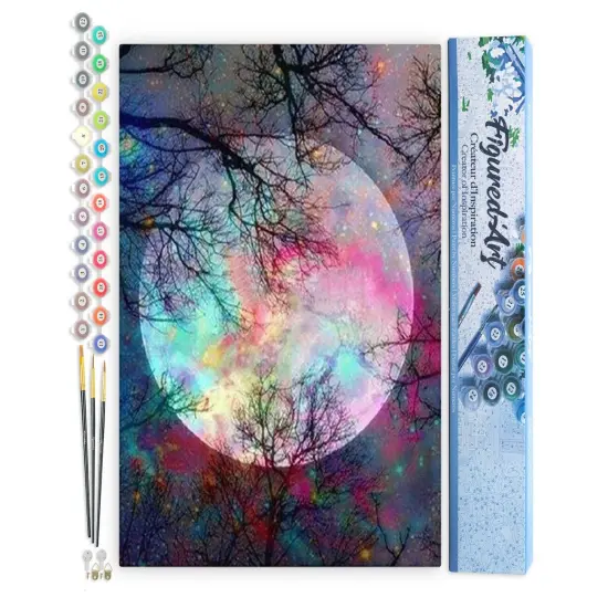 Figured'Art Paint by Numbers Kit for Adults Full Moon with Colourful reflections 16"x20" - Craft Art Painting DIY Kit Rolled Canvas without frame {1}