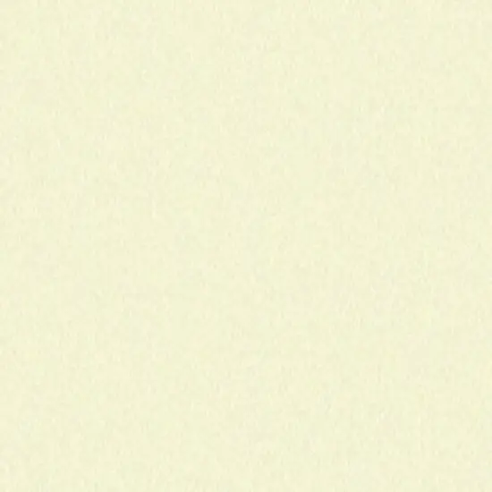 Richlin Liberty Poly/Cotton Broadcloth 45"X20yd D/R {1}