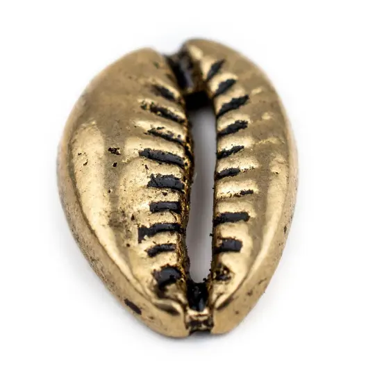 The Bead Chest Brass Cowrie Shells (Set of 5): Metal Beads for DIY Crafts & Jewelry-Making Inspired by African Sea Shells {5}
