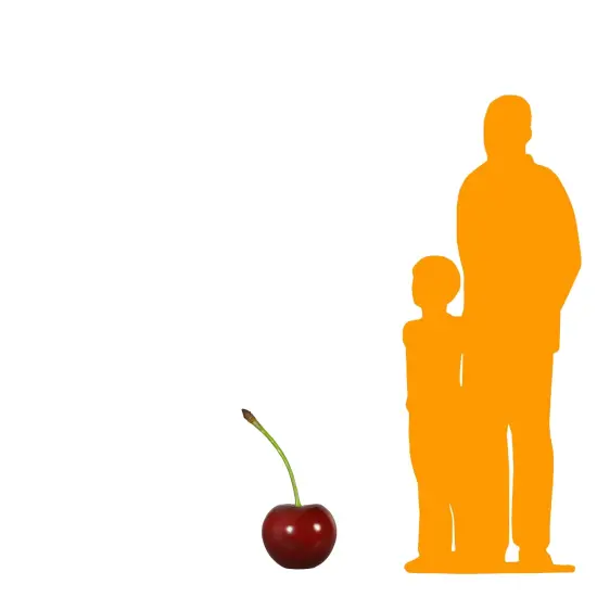 Single Cherry Over Sized Statue {2}
