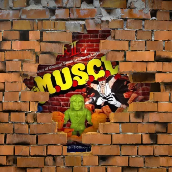 Street Fighter II M.U.S.C.L.E. Mini-Figure Wave 1 | Random 2-Pack {4}