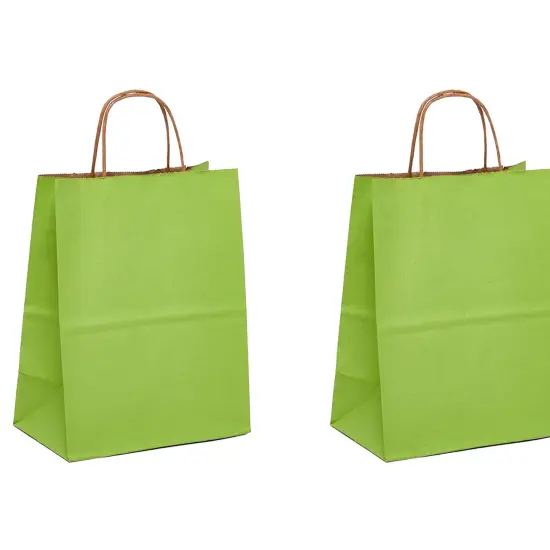 Sturdy Kraft Paper Tinted Shopping Bag 16" x 6" x 12" {5}