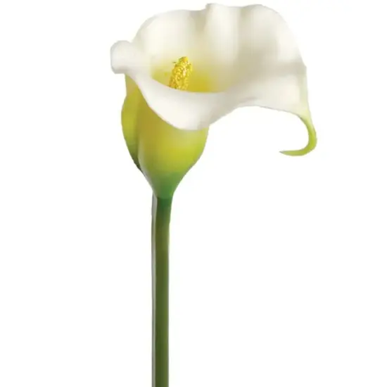3PC 27" White Calla Lily - Realistic Faux Flower {1}