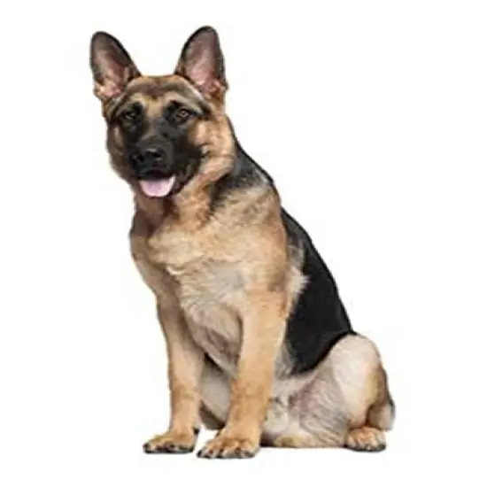 German Shepherd Dog Breed Edible Cake topper {2}