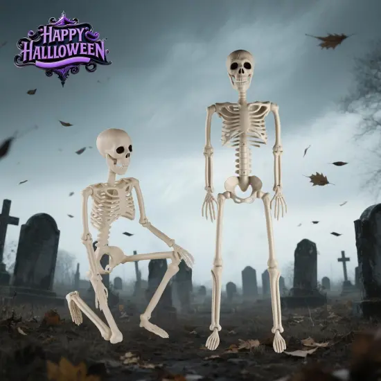 Life Size 3 ft Human Skeleton Full Body Posable Joints {3}