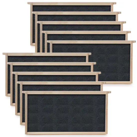 Honey Keeper Beehive 10 Deep Frame Kit with Foundations for Replacement Langstroth Beekeeping {1}