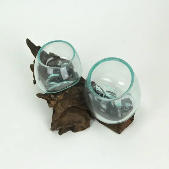 Molten Glass On Coffee Wood Root Double Decorative Bowl Vase Plant Terrarium {3}