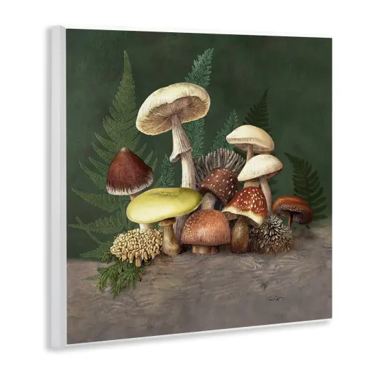 Stupell Industries Mushrooms and Ferns Nature Wall Plaque, design by Tim Coffey {3}