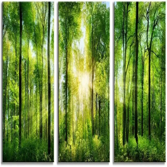 Summer Green Forest Canvas Wall Decor 12x16 inches, Home Decor with Natural Light Elements, Minimalist Canvas Print for Living Room, Bedroom, or Hallway -3 Panels Sunrise Landscape Modern Nature Art {1}