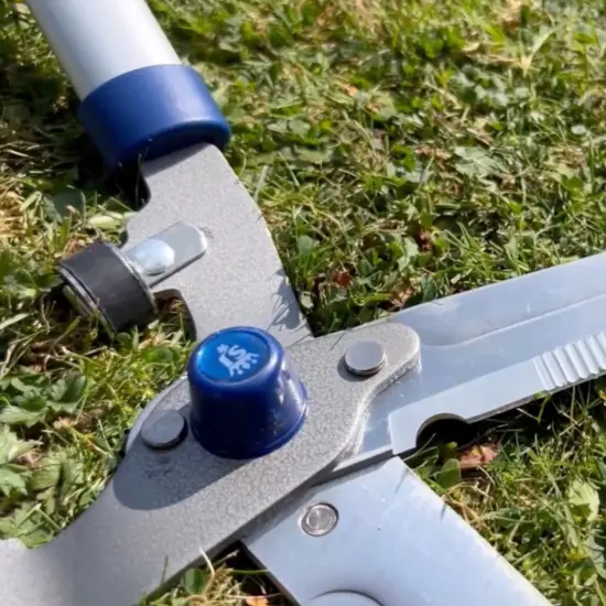 Spear & Jackson Razorsharp Notched Hedge Shears, Professional Garden Tool for Precision Trimming and Shaping, Quality Carbon Steel Blades {5}
