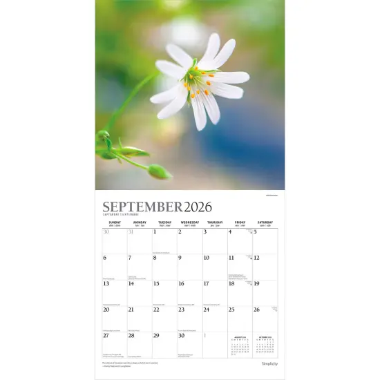 Simplicity | 2026 12 x 24 Inch (Hanging) Monthly Square Wall Calendar | Foil Stamped Cover {4}