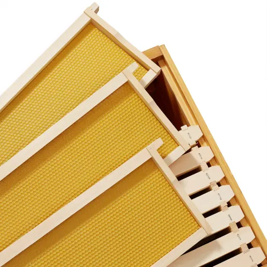 Honey Keeper 10 Assembled Beehive Frames with Waxed Natural Foundations for Beekeeping, 6-1/4 inch {4}