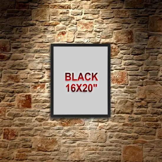 16x20" Black Frame &ndash; Horizontal/Vertical, No-Nail Hanging, Safe Front Protection! {3}
