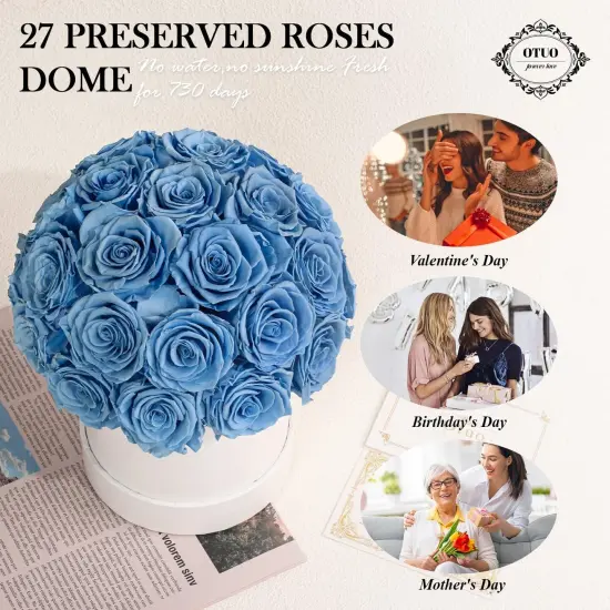 27 Preserved Roses in Round Dome Shape {3}