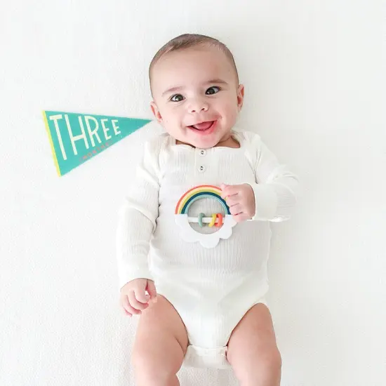 LITTLE KALEIDOSCOPE PETIT MILESTONE PENNANTS {3}