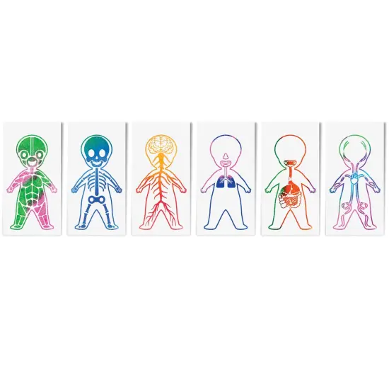 Look Inside Me Paint Sheets {1}